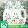 Pacote de 10 Jin Detergente para Roupas Gardênia Caixa Completa Atacado Uso Doméstico Pacote Econômico Fragrante Loja Oficial Principal Pacote em Atacado