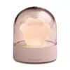 Velas Eletrônicas para Comemorar o Falecimento de Animais de Estimação, Luz de Longa Duração para Gatos e Cachorros, Suporte de Exibição com Pegadas Estilo Europeu, Placa Memorial