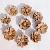Envío Gratis 30 Piñas Flores Secas Decorativas Hecho a Mano Paquete de Materiales Creativos DIY Decoración del Hogar Ramas Secas Piñas Escama de Pez