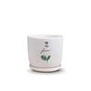 Maceta de Cerámica Estilo Crema Planta Maceta para el Hogar Exquisita Blanca Lujo Accesible Creativa Orquídea Suculenta Planta Verde