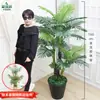 Qin Ye Rong Planta Fotográfica en Maceta Hotel Planta Verde Falsa Biónica Decoración de Sala de Estar Árbol Falso de Pie Flor Falsa Puerta