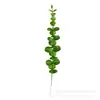 Planta Verde Simulada Hoja Individual de Eucalipto Transfronteriza Artificial Simulada Bosque de Hojas de Eucalipto Arreglo Floral Gris Accesorios de Fotografía