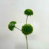 3 Bolas de Diente de León Pegamento Suave Clavel Flor Artificial Floristería de Bodas Flor Falsa Decoración Suave para el Hogar Adornos de Mesa Comercio Exterior