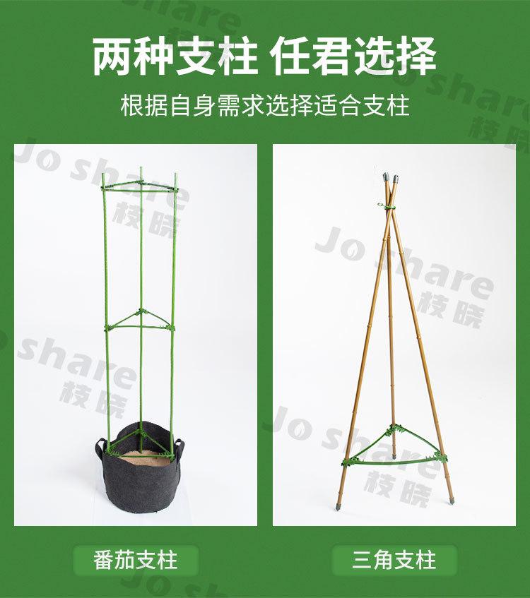 番茄支柱(1688)_04.jpg
