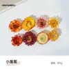 Materiais para Artesanato DIY de Flores Eternas no Atacado, Flores Secas, Frutas Secas, Rodelas de Laranja, Pinhas, Adereços para Fotografia de Flores, Materiais para Artesanato DIY de Jardim de Infância