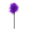 Pluma coqueta pluma divertida palo divertido multicolor juguete de preliminares utensilios productos sexuales para adultos venta al por mayor generación cabello