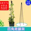 Clematis Flor de Cuatro Esquinas Torre con Forma de Soporte Estante para Flores Soporte para Plantas Trepadoras Jardinería de Balcón al Aire Libre Soporte para Molino de Viento Jazmín Rosa