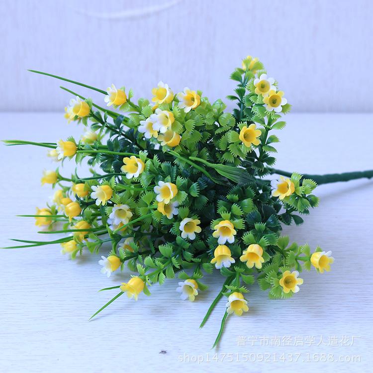 IMG_3969.png