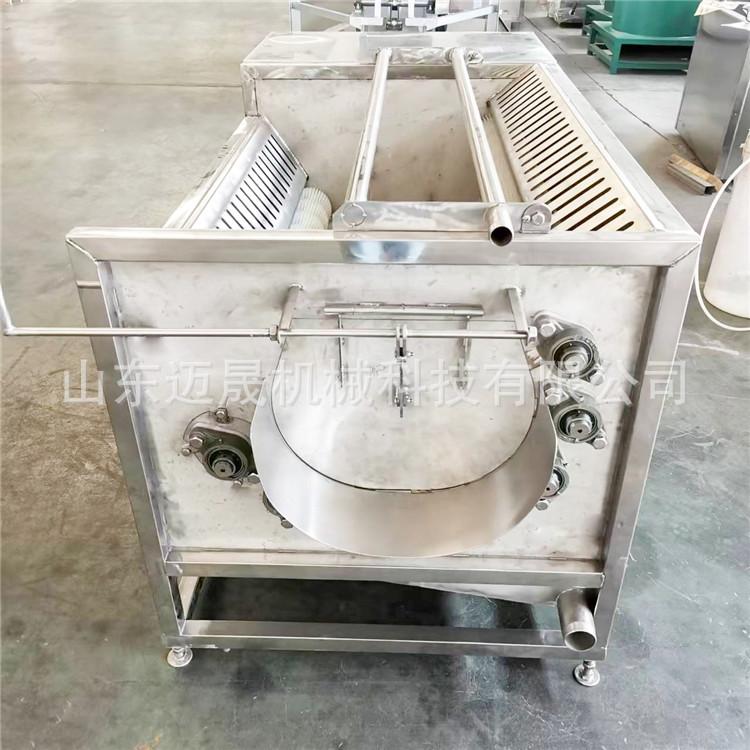 1200型毛辊清洗机 (5)