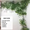 Folhas, galhos, videiras, flores artificiais, trepadeiras, canos, pilares, plantas trepadeiras, plantas verdes, plantas de parede, cobrindo imperfeições, decorações