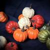 12 peças de ornamentos de abóbora pequena de simulação decorações de abóbora de Halloween decorações de Natal artesanato de frutas e vegetais de simulação pose