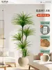 Plantas Verdes Artificiais de Alta Qualidade para Decoração de Sala de Estar, Planta Realista Falsa de Figueira-da-Índia Preta para Decoração de Sala de Transmissão ao Vivo