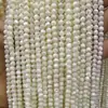 Lujo Ligero y Gama Alta Concha de Herradura Perla Blanca Conchas Redondas Cuentas Sueltas Venta al por Mayor Accesorios para Joyería DIY Cuentas