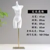 Expositor de ropa interior para modelos, sujetadores de media longitud para hombres y mujeres, expositor de sujetadores para trajes de baño, maniquí fotográfico