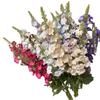 2 garfo qianhe delphinium cerimônia de casamento decoração salão de casamento flor falsa linha pick high line flor jacinto simulação flor