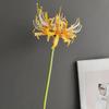 Flor Simulada de Galho Único Manzhu Shahua Orquídea Fengyu Painel com Padrão de Alho Pedra Adereços de Fotografia Flor Artificial Lote