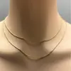 Colar Europeu e Americano Dourado de Camada Dupla Fino Osso de Cobra Ajustável Simples para Mulheres Moda de Nicho Corrente para Clavícula