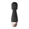 Laile Minni Av Stick, Compacto e Portátil, Carregamento USB, Vibração Forte com Graves, Produtos Femininos, Brinquedos Sexuais para Adultos para Mulheres