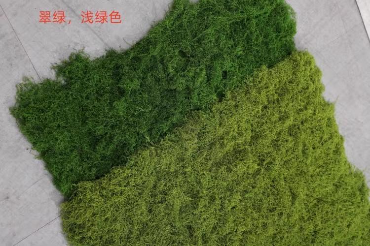 O1CN013CuCsG1U7lb2bTlZy_!!2118