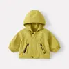 Conjunto de tres piezas para bebé niño: playera básica con estampado de letras, sudadera con capucha sencilla, pantalón de punto con estampado de letras para otoño