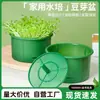 Nuevo germinador de brotes para uso doméstico, frasco de gran capacidad para brotes, modelo engrosado para cultivar brotes verdes y amarillos