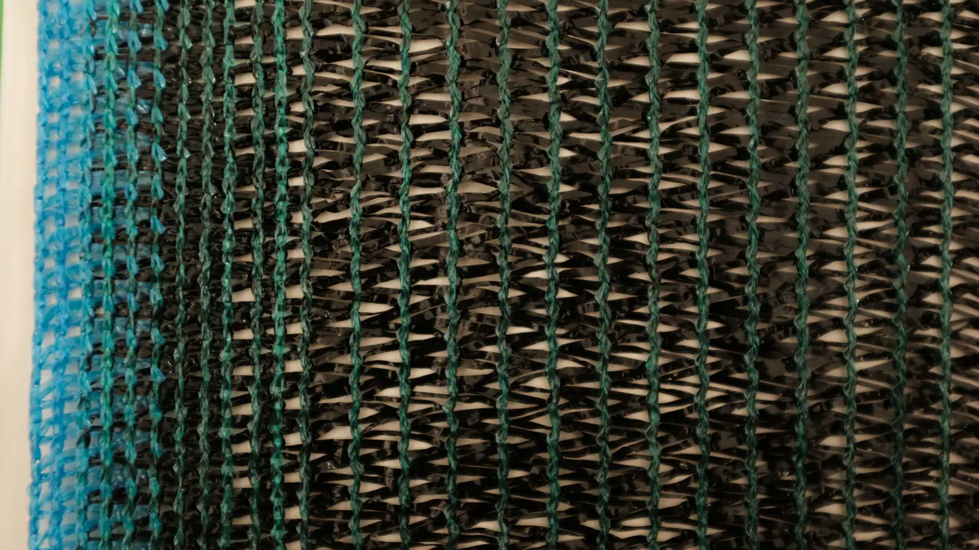 DSCF4686