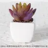 Suculentas Simuladas Personalizadas Cerámica Bonsái Plantas Verdes Escandinavas Adornos Hogar Interior Sala de Estar Flores Falsas Suculentas Plantas en Maceta