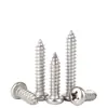 Tornillos Autorroscantes de Acero Inoxidable 316, Cabeza Redonda Cruz, Tornillos para Madera Cabeza Plana Extendida, Cabeza Grande, Mm2M3M4M5M6