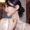 Letra D con Incrustaciones de Diamantes Coreanos Nueva Moda Elegantes Flores Populares Pendientes Versátiles de Moda para Mujeres