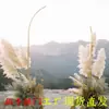 Nuevos Accesorios de Boda Arco de Puerta de Cuerno de Hierro Forjado Decoración de Escenario para Área de Bienvenida de Bodas al Aire Libre Metabo
