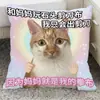 Regalo Cálido de Cumpleaños para el Día de la Madre para Mamá Cojín Decorativo para Sofá de Sala de Estar Almohada de Regalo
