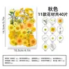 Marcapáginas de flores secas especímenes colección de primavera en botella de película plástica materiales hechos a mano para manualidades estudiantes de primaria flores transparentes
