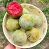 Entrega mayorista Xinjiang Wei Di Li 2 / 1.5 kg Caja de colores arándanos de pulpa roja, caja completa, jugosos, crujientes, dulces, fruta fresca