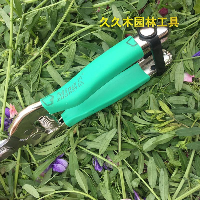 QQ图片20170415121049