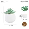Simulação de plantio verde e vaso de cerâmica carnudo com diamantes. Simulação de vaso de cerâmica carnudo para decoração de casa. Super decoração.