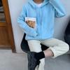 Suéter con capucha y abrigo, súper popular, otoño 2020, coreano, suelto, combinable, corto, informal, de manga larga.