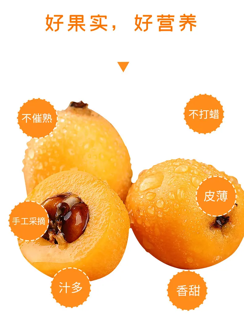 云南蒙自枇杷详情图