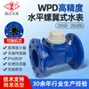 Medidor de Água Horizontal de Parafuso-Rotor de Alta Precisão R160 Wpd-50~200 Diâmetro Grande Industrial com Transmissão Remota Shengda