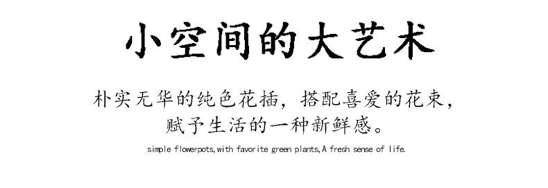 花瓶大白_03.jpg