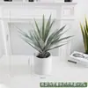 Simulação Planta Verde Bonsai Sisal Folha Grande Gladíolo Planta do Deserto Tropical Janela Paisagismo Decoração Planta Artificial Ponto