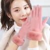 Guantes Calientes para Mujer, Moda de Invierno, Forro de Felpa, Engrosados, Resistentes al Frío, Estilo Coreano, Ciclismo al Aire Libre en Otoño, Compatibles con Pantalla Táctil, Cortavientos