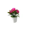 Juego de 5 Macetas Artificiales de Rosa Ecológicas Transfronterizas para Decoración de Escritorio de Oficina, Maceta de Plástico Corrugado, Bonsái de Flor Artificial