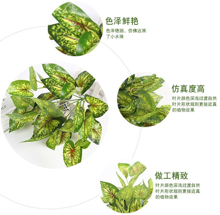 植物墙配草配件_07.jpg