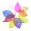Caixa de Presente DIY com Flor Imortal Veios de Diamante Floridos Folhas de Rede Coloridas Folhas de Magnólia Planta Natural Veios Secos