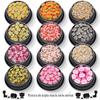 Cross-Border 16 cores animal série cerâmica macia conjunto lantejoulas nail art Nail Polish cola cola materiais de maquiagem atacado