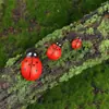 Micro-Paisaje Madera Maciza Escarabajo Siete Estrellas Mariquita Insecto Decoración DIY Accesorios Jardinería Paisajismo Adornos Pequeños