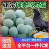 Ovos de Galinha Caipira Criados em Fazenda, Ovos de Galinha Negra de Casca Verde Criados Ecologicamente, Tamanho Grande, Sazonais, Nutritivos, Estoque Novo, Ovos Disponíveis para Dropshipping