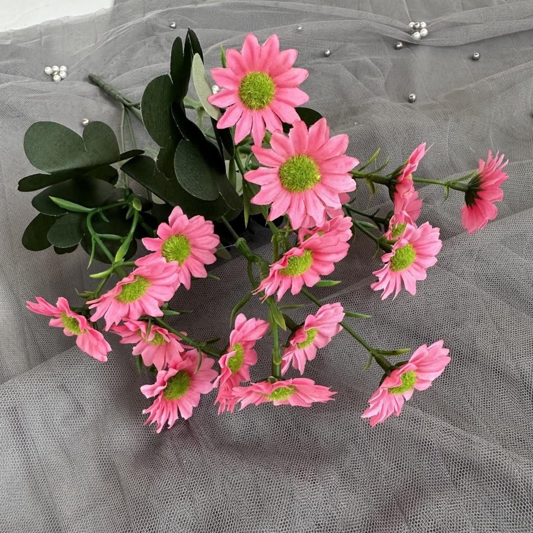 邹菊把粉红
