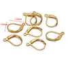 Ganchos para Pendientes Franceses de Acero Inoxidable Chapado al Vacío en Oro de 18 Quilates Ganchos para Pendientes en Forma de D Accesorios para Pendientes Populares Europeos y Americanos DIY Venta al por Mayor Transfronteriza