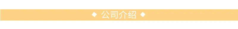 公司介绍